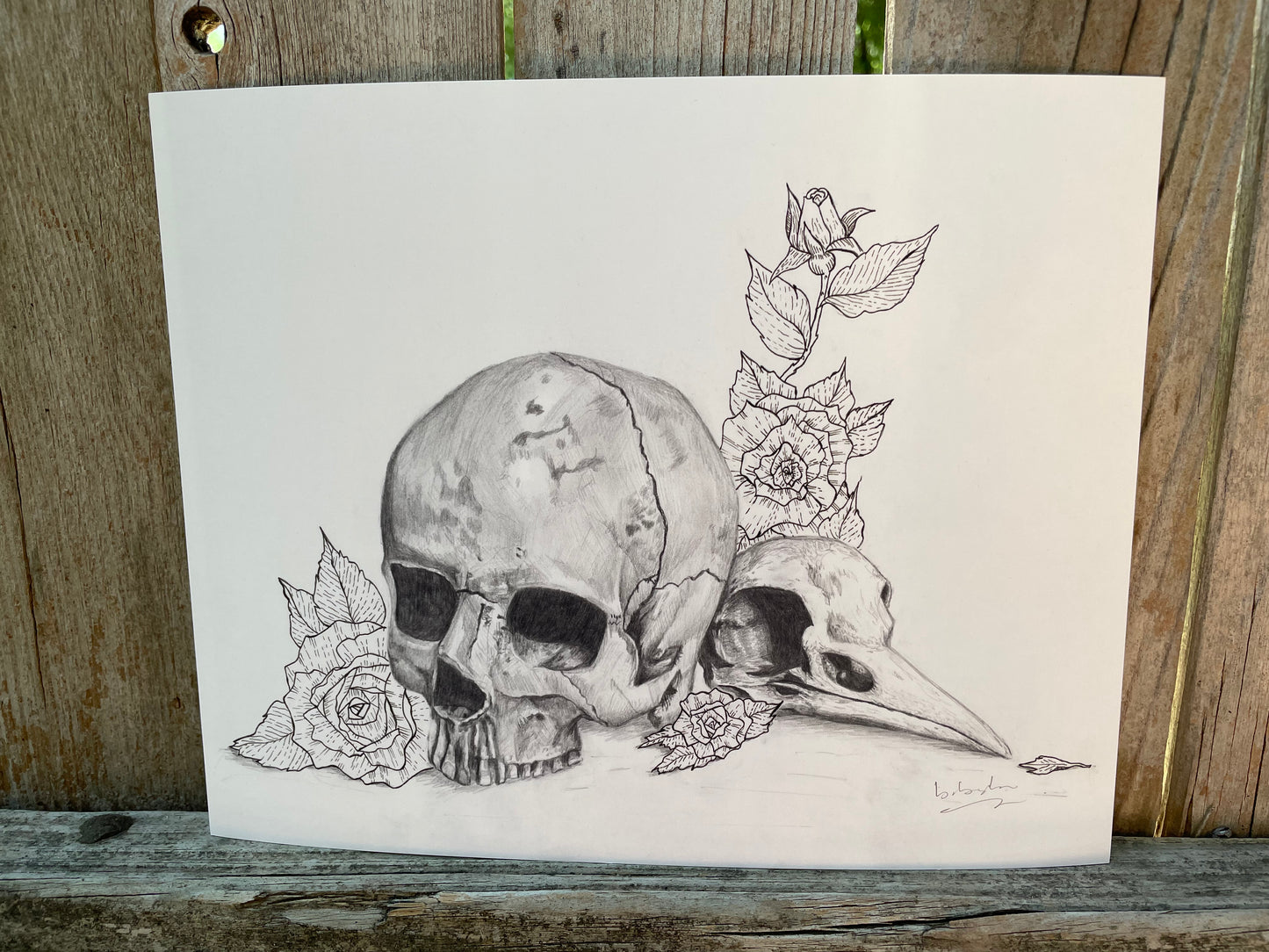 Catacombs- Human and Bird Skull Print (8x10)
