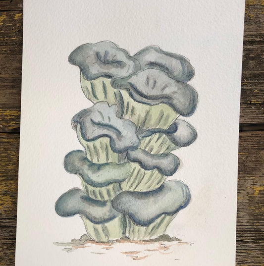 Blue Oyster Print