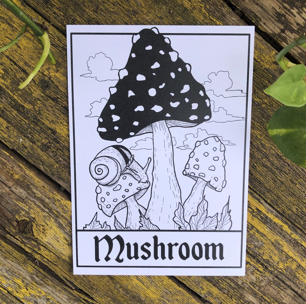 Mushroom Tarot Postcard