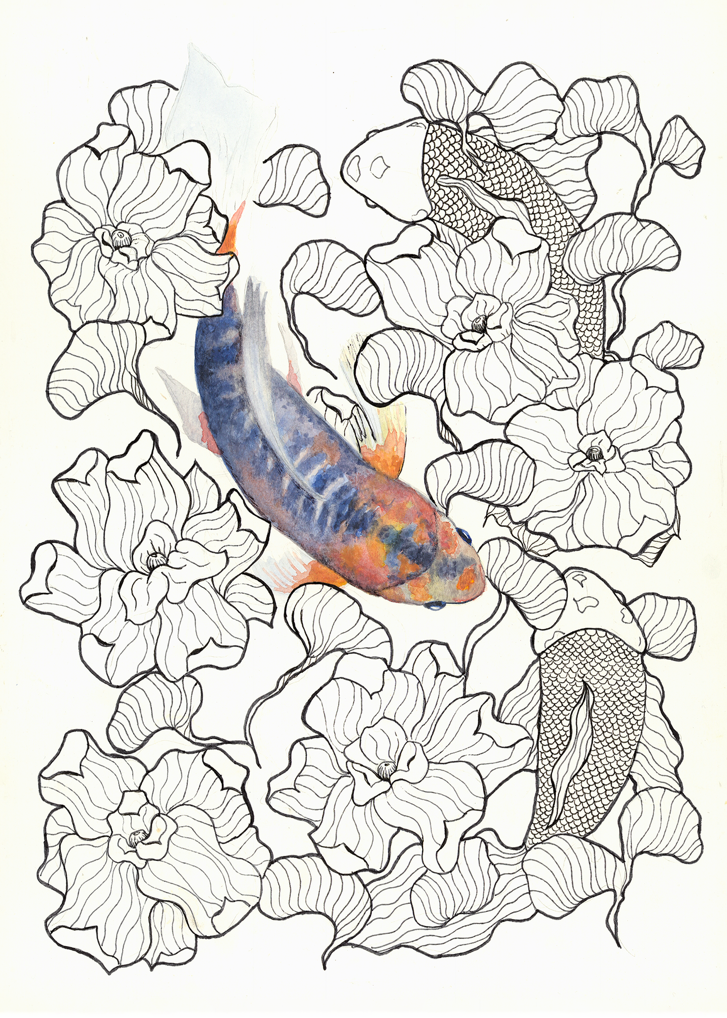 Koi Fish Watercolor Print
