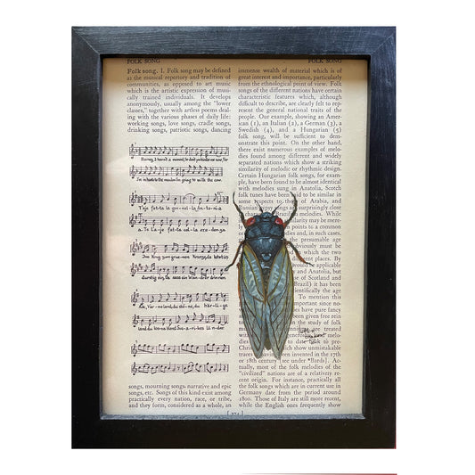 "Song of the Cicada" Original Artwork Framed
