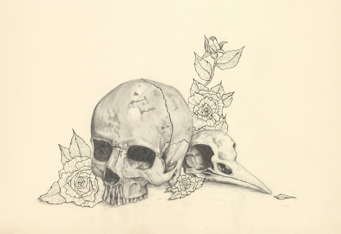 Catacombs- Human and Bird Skull Print (8x10)