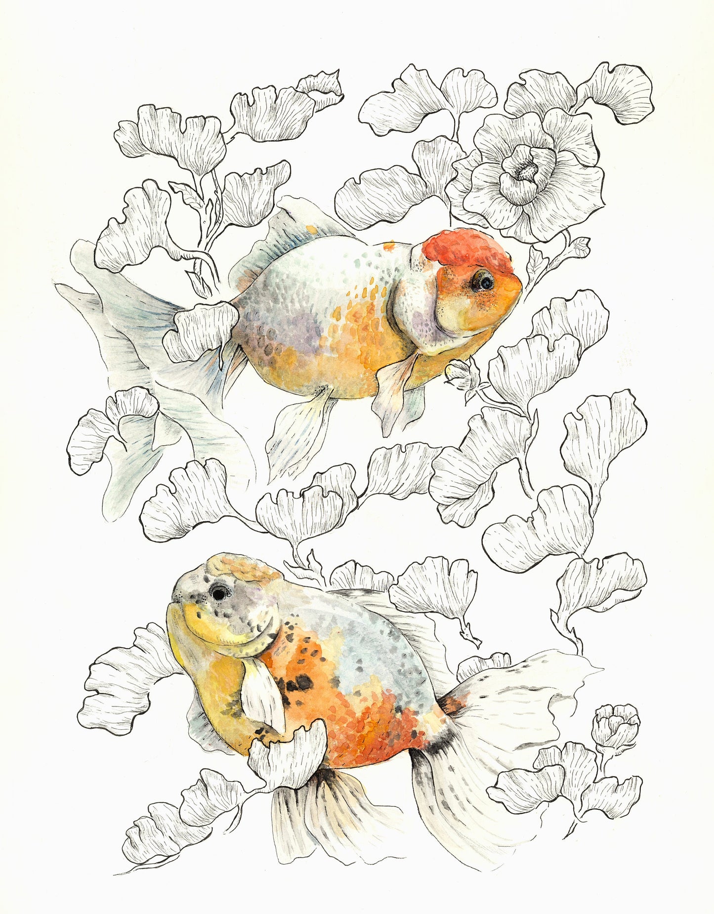 Oranda Goldfish Watercolor Print